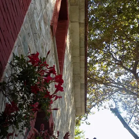 Auberge de jeunesse Chrysochou *